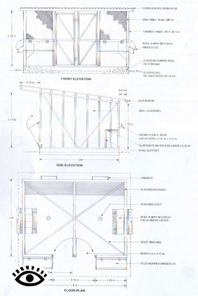 Photo of an Australian chicken shed design.