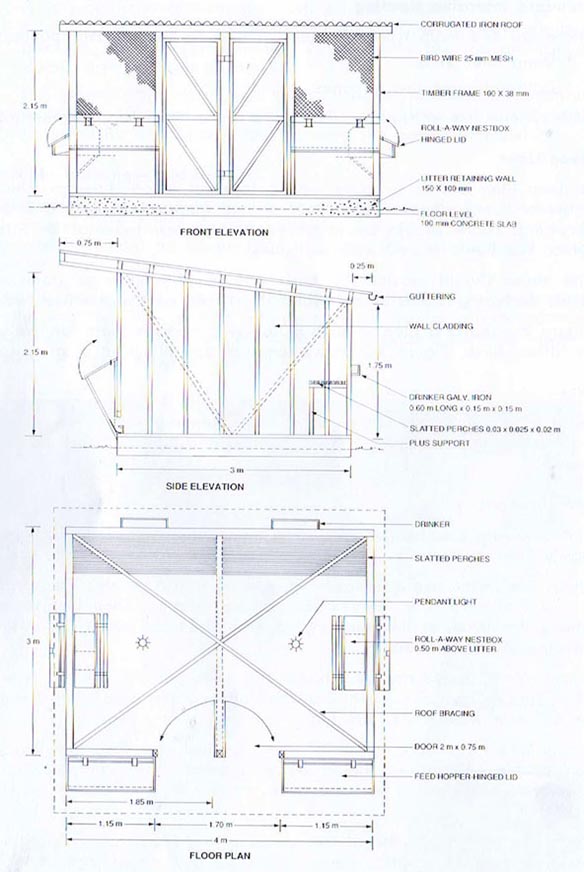 Large photo of an Australian chicken shed design.