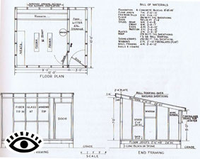 Photo of a North American chicken shed design.