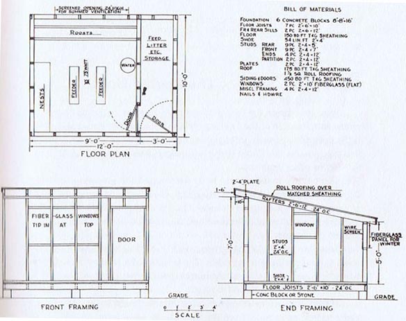 Large photo of a North American chicken shed design.