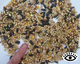 Photo of mixed grain.