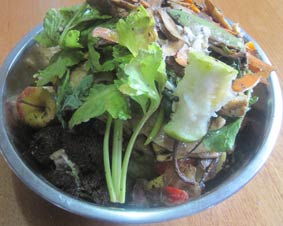 Photo of a bowl of kitchen scraps