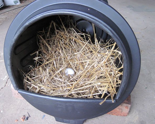 Large photo of nest box entrance with 13 millimetre polypipe on the lip to cover the sharp edges