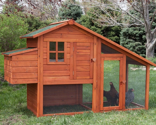 Large photo of a commercially available chicken hutch