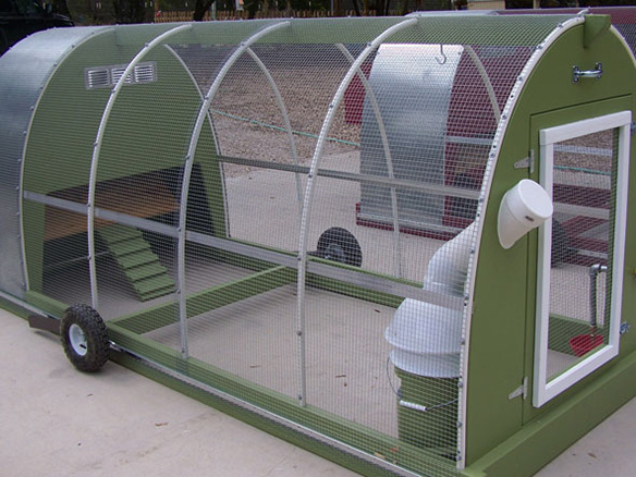 Large photo of a large commercially made chicken tractor.