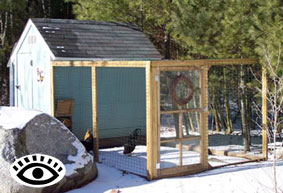 Photo of a chicken shed in winter.