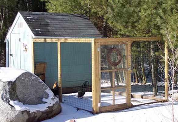 Large photo of a chicken shed in winter.