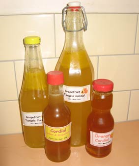 Photo of home made bottles of fruit cordial