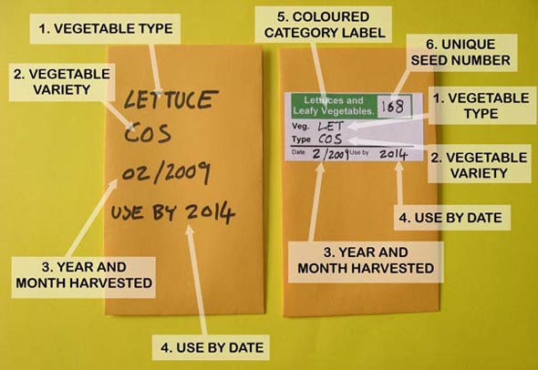 Photo of two seed packets and how to label them