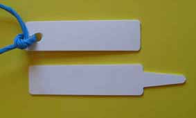 Photo of seedling labels, on with string attached