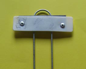 Photo of plastic lebel attached to a plantsman's marker