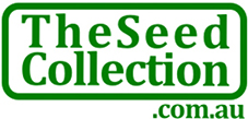 Photo of the Seed Collection Logo