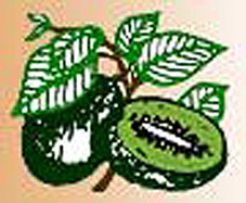 Daley's Fruit Tree Nursary Logo
