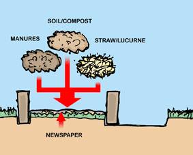 Illustration of materials to be added to a raised bed.