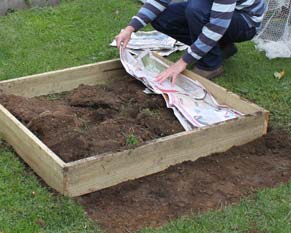Photo of adding the first layer of newspaper to a raised bed.