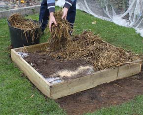 Photo of adding straw to a raised bed.