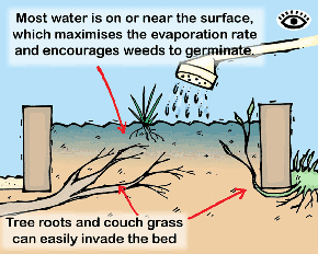 Illustration of problems associated with a conventional raised bed