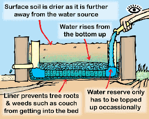 Illustration of the advantages of a wicking bed.