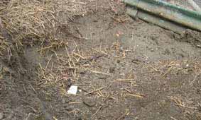 Photo of hole dug in ground to place plastic wicking tub in.