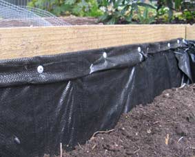 Photo of the side of a wicking bed with weed matting.
