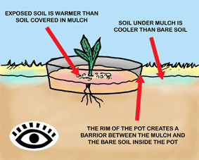 Illustration of an edge pot.