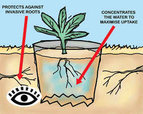 Illustration of a ground pot.