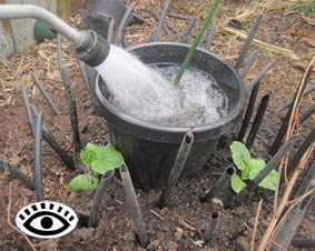 Photo of a soak pot being filled