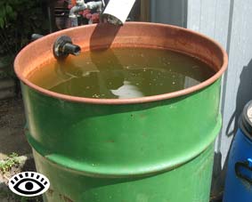 Photo of a 44 gallon drum water tank