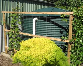 Photo of a poly water tank