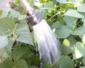 Photo of a Dramm wand head gushing water.