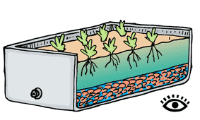 Illustration of a shallow wicking bed of around 15 to 20 centimeters