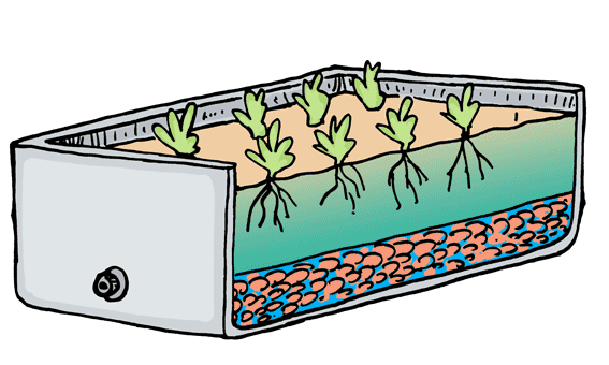 Large illustration of a shallow wicking bed suitable for growing seedlings for transplant.
