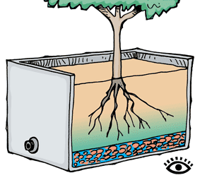 Illustration of a deep wicking bed with a soil depth of 50 centimetres. 