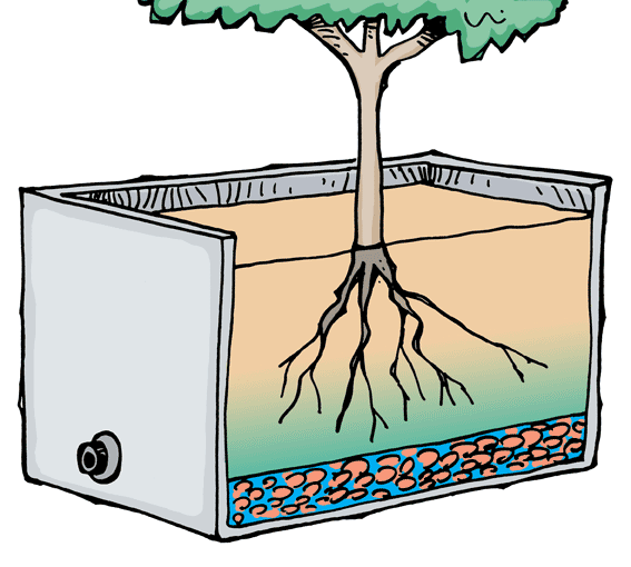 Illustration of a deep wicking bed suitable of growing a small tree or shrub.