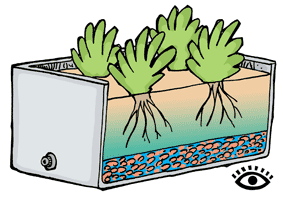 Illustration of a wicking bed with a depth of around 35 to 40 centimetres